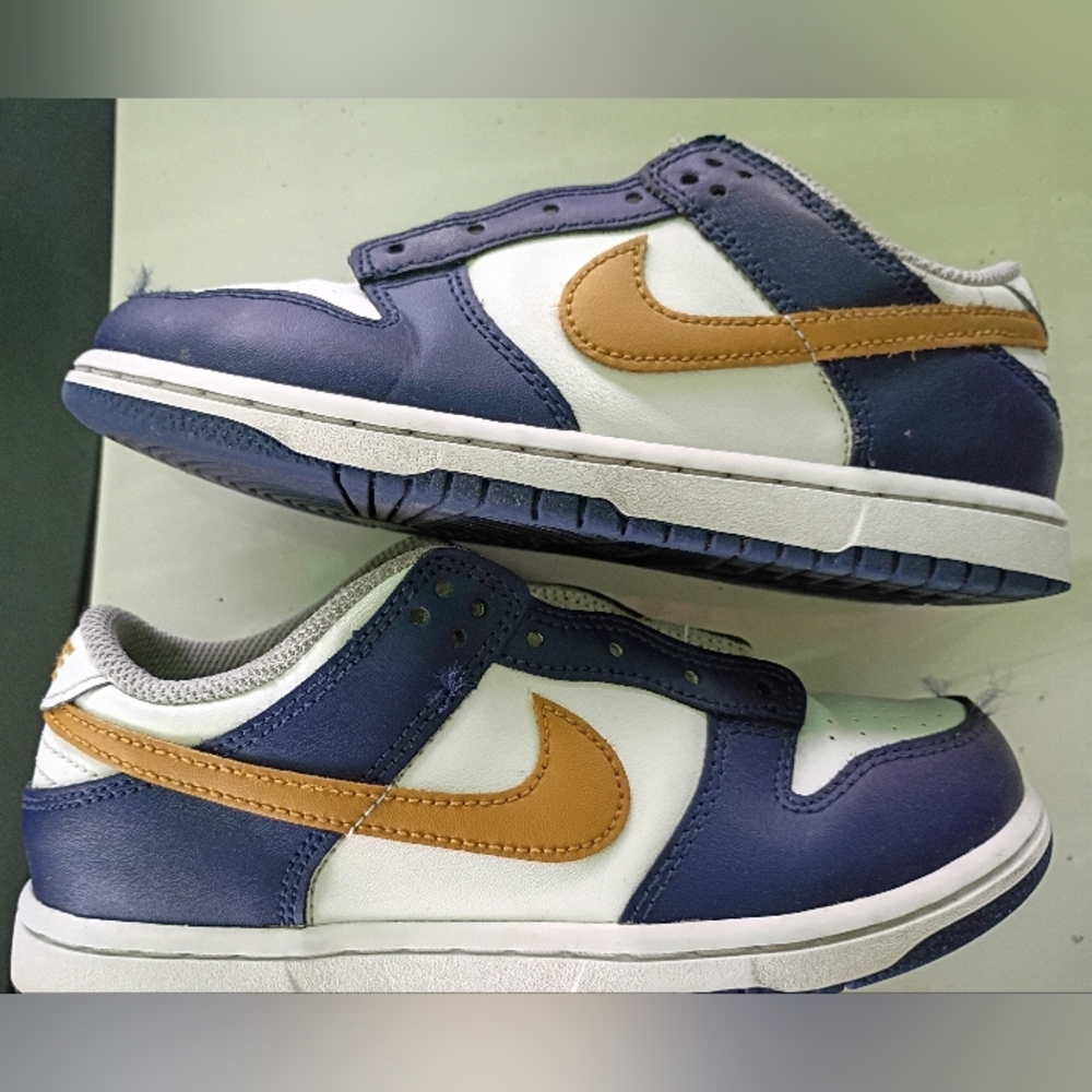 Nike Dunk Low